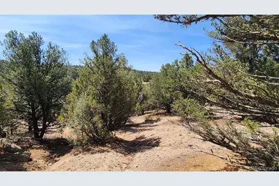 161 Ponderosa Lane, Cotopaxi, CO 81223 - Photo 4