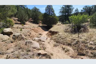 161 Ponderosa Lane, Cotopaxi, CO 81223 - Photo 36
