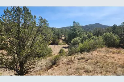 161 Ponderosa Lane, Cotopaxi, CO 81223 - Photo 6