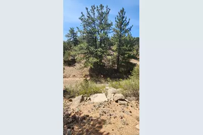 161 Ponderosa Lane, Cotopaxi, CO 81223 - Photo 32