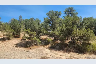 161 Ponderosa Lane, Cotopaxi, CO 81223 - Photo 18