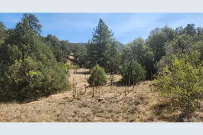 161 Ponderosa Lane, Cotopaxi, CO 81223 - Photo 2