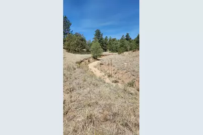 161 Ponderosa Lane, Cotopaxi, CO 81223 - Photo 22