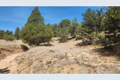 161 Ponderosa Lane, Cotopaxi, CO 81223 - Photo 26