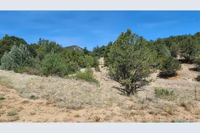 161 Ponderosa Lane, Cotopaxi, CO 81223 - Photo 38