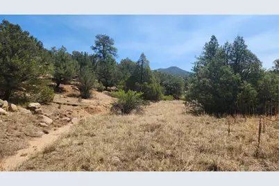 161 Ponderosa Lane, Cotopaxi, CO 81223 - Photo 10