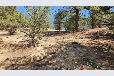161 Ponderosa Lane, Cotopaxi, CO 81223 - Photo 30