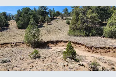 161 Ponderosa Lane, Cotopaxi, CO 81223 - Photo 34
