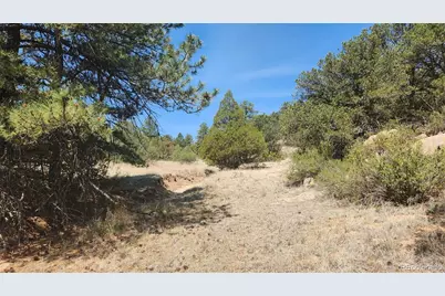 161 Ponderosa Lane, Cotopaxi, CO 81223 - Photo 28