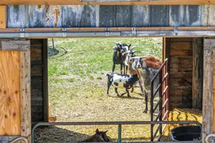 9235 Guthrie Rd, Calhan, CO 80808 - Photo 42