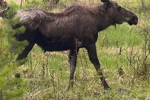 1384 Gcr 494, Grand Lake, CO 80447 - Photo 20