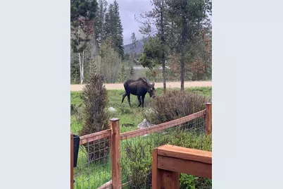 1384 Gcr 494, Grand Lake, CO 80447 - Photo 4