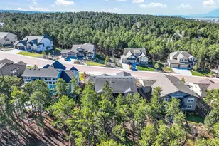 1004 Tree Bark Terrace, Monument, CO 80132 - Photo 44