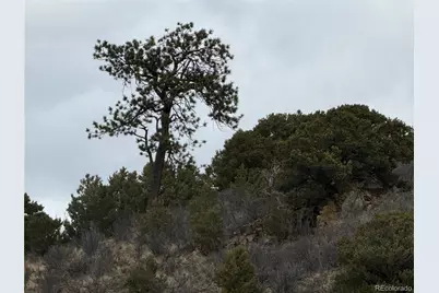 Lot 129 Flavin Lane, Fort Garland, CO 81133 - Photo 6