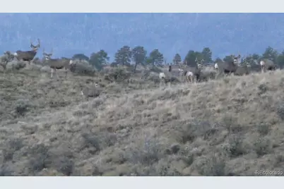 Lot 129 Flavin Lane, Fort Garland, CO 81133 - Photo 30