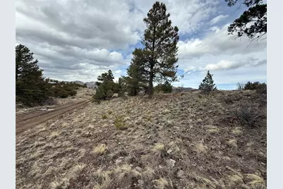 Lot 129 Flavin Lane, Fort Garland, CO 81133 - Photo 18