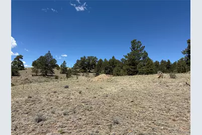595 Bridle Path, Hartsel, CO 80449 - Photo 22