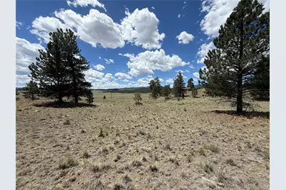 595 Bridle Path, Hartsel, CO 80449 - Photo 14