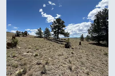 595 Bridle Path, Hartsel, CO 80449 - Photo 12