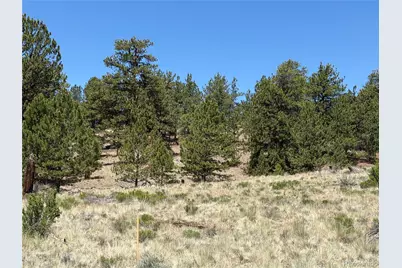 595 Bridle Path, Hartsel, CO 80449 - Photo 10