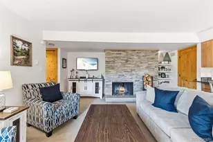 423 Wild Irishman Rd, Dillon, CO 80435 - Photo 8