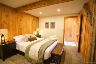 232 Goldfinch Pl, Alma, CO 80420 - Photo 12