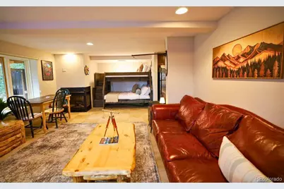 232 Goldfinch Place, Alma, CO 80420 - Photo 32