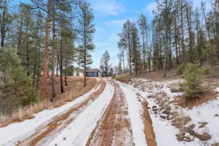 29004 Amerind Springs, Pine, CO 80470 - Photo 36