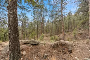 29004 Amerind Springs, Pine, CO 80470 - Photo 42
