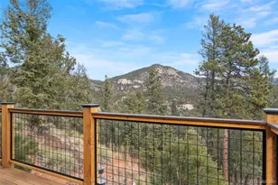 29004 Amerind Springs, Pine, CO 80470 - Photo 38