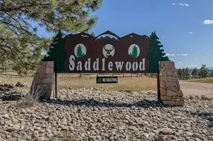 35725 Darting Bird Ride, Elizabeth, CO 80107 - Photo 50