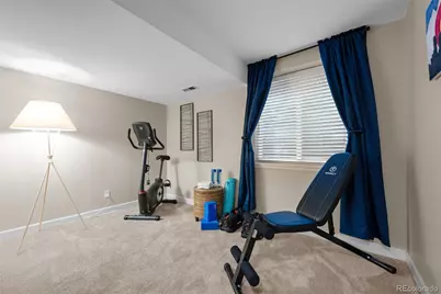 9805 Sydney Lane, Highlands Ranch, CO 80130 - Photo 22