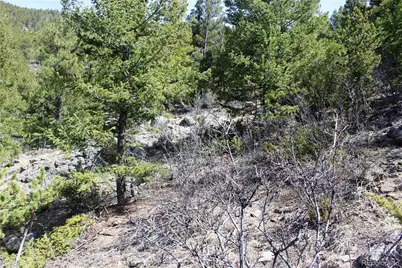 00 County Rd 308, Idaho Springs, CO 80436 - Photo 10