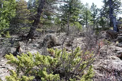 00 County Rd 308, Idaho Springs, CO 80436 - Photo 12