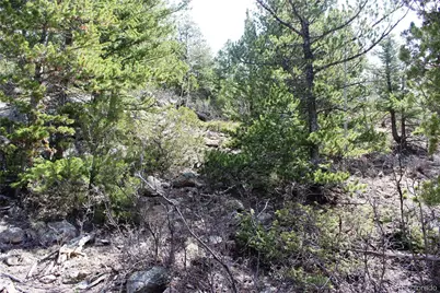 00 County Rd 308, Idaho Springs, CO 80436 - Photo 8