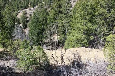 00 County Rd 308, Idaho Springs, CO 80436 - Photo 6
