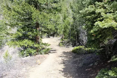 00 County Rd 308, Idaho Springs, CO 80436 - Photo 18