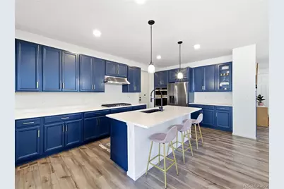 33 Felicity Loop, Castle Rock, CO 80109 - Photo 16
