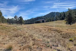 1321 Bristlecone Rd, Guffey, CO 80820 - Photo 44