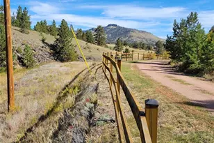 1321 Bristlecone Rd, Guffey, CO 80820 - Photo 42