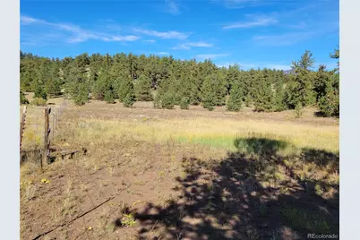 1321 Bristlecone Road, Guffey, CO 80820 - Photo 36