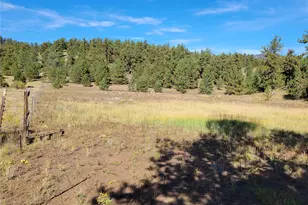 1321 Bristlecone Rd, Guffey, CO 80820 - Photo 36