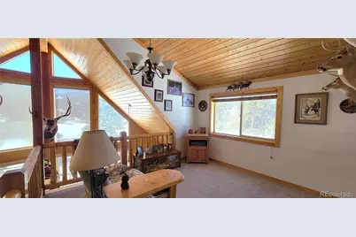 1321 Bristlecone Road, Guffey, CO 80820 - Photo 16