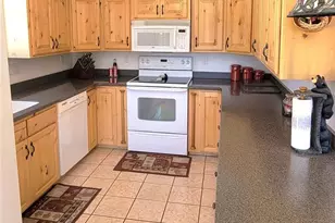 1321 Bristlecone Rd, Guffey, CO 80820 - Photo 4