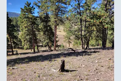 1321 Bristlecone Road, Guffey, CO 80820 - Photo 34