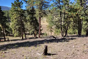 1321 Bristlecone Rd, Guffey, CO 80820 - Photo 34