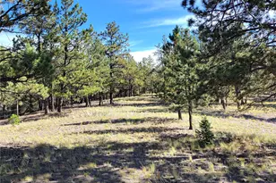 1321 Bristlecone Rd, Guffey, CO 80820 - Photo 40