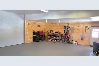 1321 Bristlecone Road, Guffey, CO 80820 - Photo 28