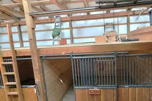 1321 Bristlecone Rd, Guffey, CO 80820 - Photo 30