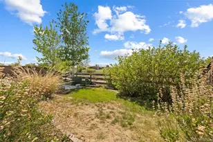 15224 W 49th Pl, Golden, CO 80403 - Photo 6